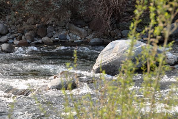 acqua-002FE1C5C2B-F30D-E5DE-5F15-B91B5D43DF96.jpg