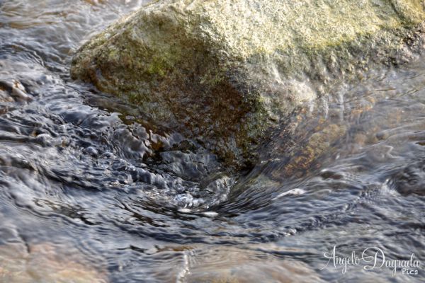 acqua-006ACC4302F-8EFA-5B34-7B1E-7583E30C0152.jpg