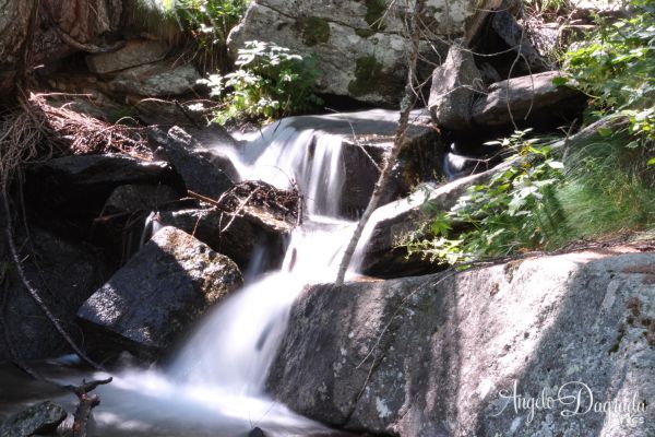 acqua-0166C276030-2FB5-F45B-1A5D-3D1E661C9B64.jpg
