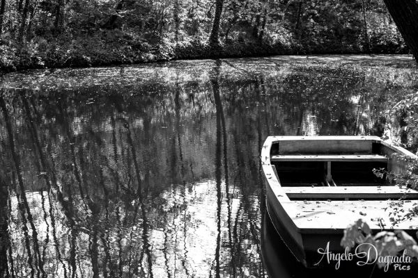 acqua-0214645C7B4-21AC-4D20-8E1B-18B08791C2DD.jpg