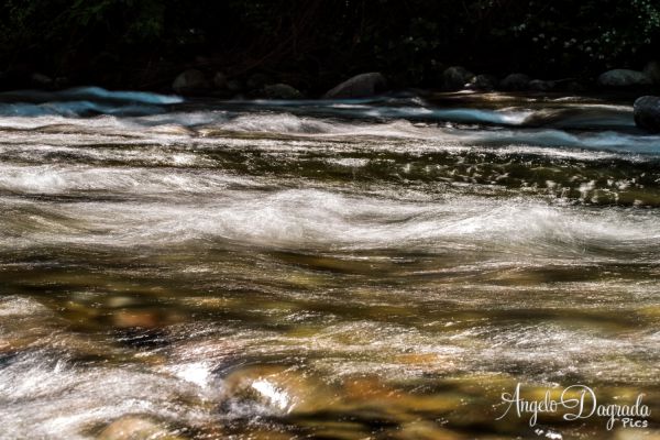 acqua-0225E21F618-BD9A-2C02-17D6-32C50D41903A.jpg