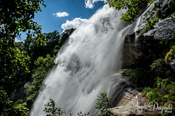 acqua-033792BF5D7-84CB-51DB-4477-FB4613EE416F.jpg