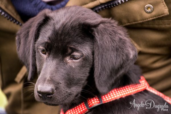 animali-035EA085AE3-DAEB-5084-4008-DCD21BD9AD5C.jpg