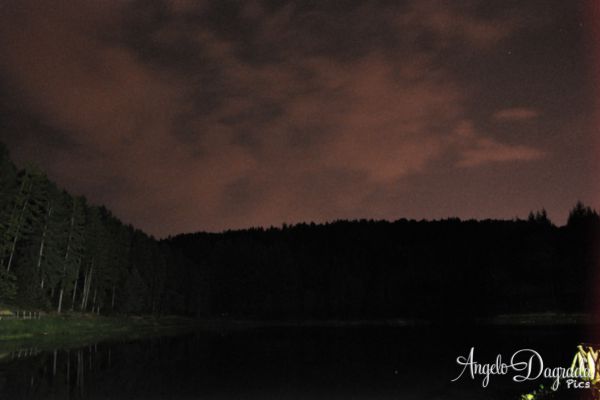 night-0066678700C-E766-3635-7569-56B1079DCFBF.jpg