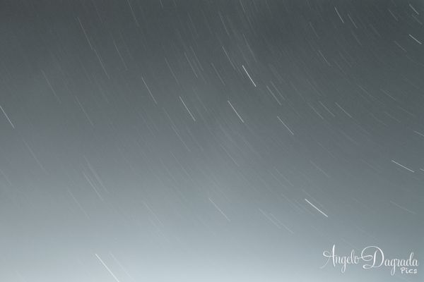 night-0138FE52A5D-D97C-E4D7-B2B2-BF38CD514C0F.jpg