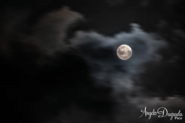 night-015E5025F4D-75FC-D735-31E9-BCF562535F4B.jpg