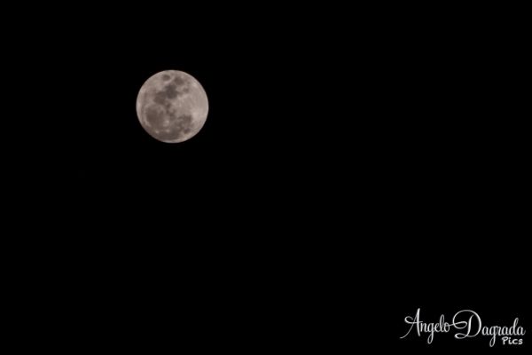 night-0217CA51402-E668-5988-6752-53683274E18E.jpg