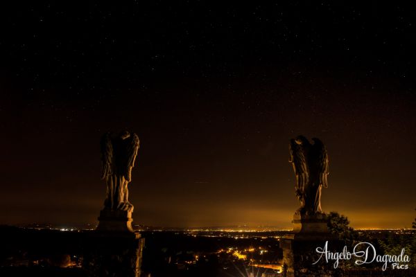 night-0310D7458FB-75B7-584D-7E55-E503E85E4992.jpg
