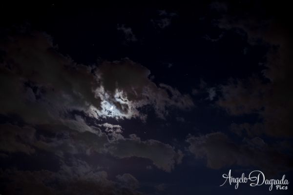 night-047312CD003-360C-61F8-F3EE-A8767CA99782.jpg