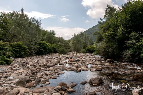 paesaggi-0283E55D721-3B7F-0284-6529-E2246C66566F.jpg