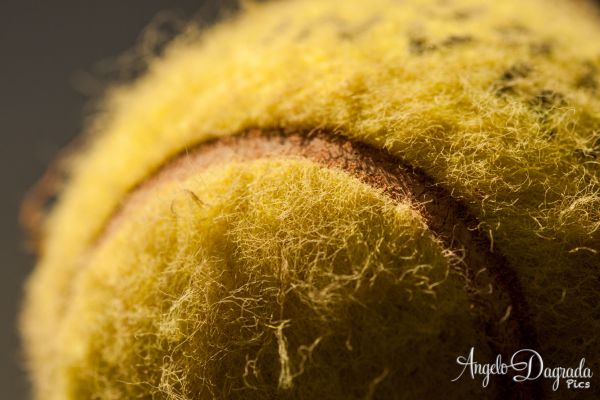 macro-001AA499952-C004-D079-6B13-96C5079891BD.jpg