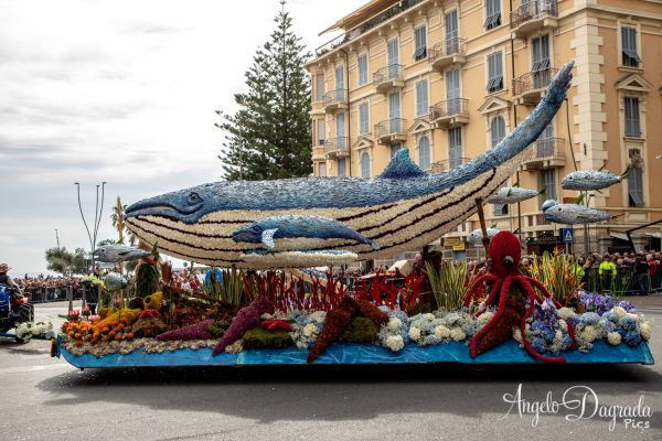 sremo19-0241432014C-9A7D-70C9-3539-3220299C41F0.jpg