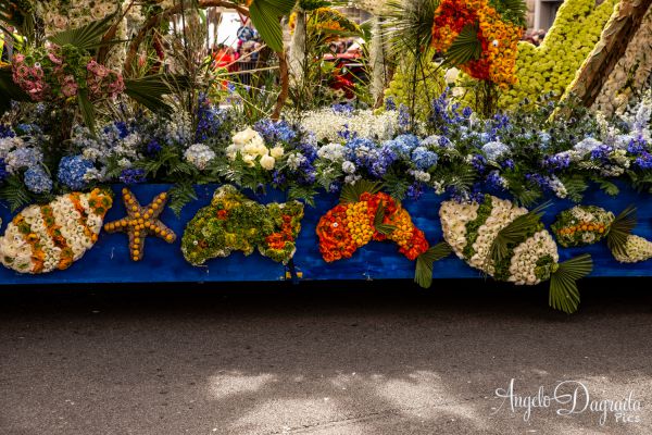 sremo19-033382BC6A7-A183-F904-59AB-8D04056D80A7.jpg