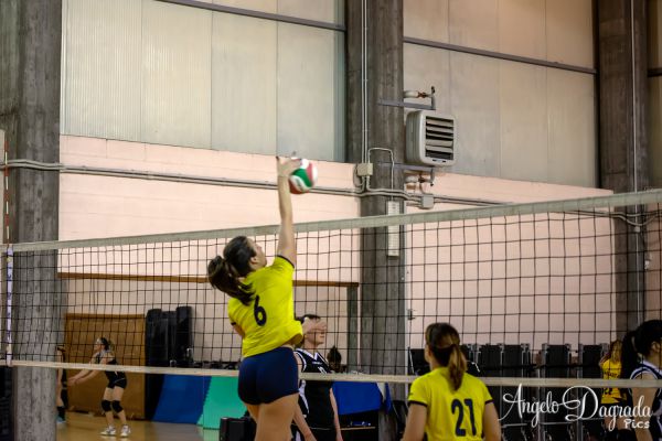 volley-2130BBBBA0-E10E-20C7-1CC8-8A85814628CB.jpg
