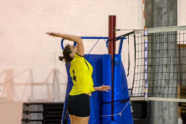 volley-2499077AF9-3AAD-1B43-E78C-5ED65FBD1CB5.jpg