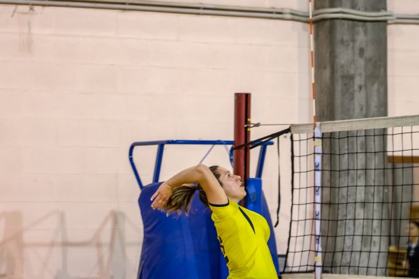 volley-2511C47E76-6554-00F1-7541-13EBDAE7629C.jpg