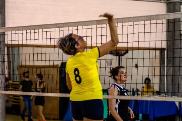 volley-31F1E1E5F6-CBB7-C4EA-3A1B-110DECF49150.jpg