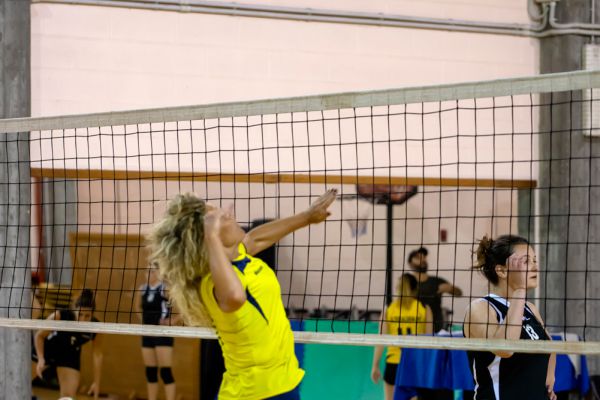 volley-33DDF9DA21-1F70-6B33-CB96-1D3784FC0998.jpg