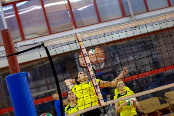 volley-3989CCC728-99B5-8E9A-E4E2-E0F395327C37.jpg