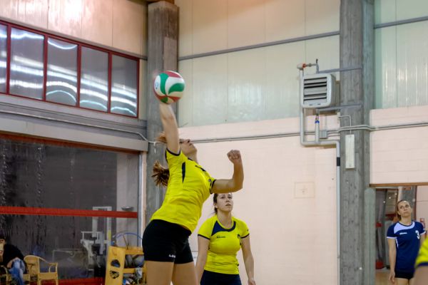 volley-435AB8E6F0-8789-EDFF-DF41-D193B84AE0FF.jpg