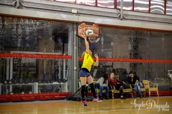 volley-4715E930DB-DD60-CA63-D58D-0C36C812F71C.jpg
