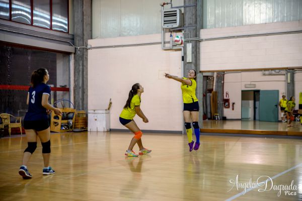 volley-495D8F3473-E113-5CF3-43D8-E6C3863C6EE6.jpg