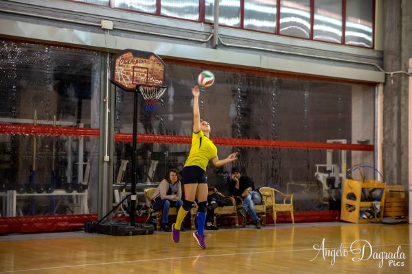 volley-50A1043BA4-8244-33B9-D35D-135E98BBA8F2.jpg