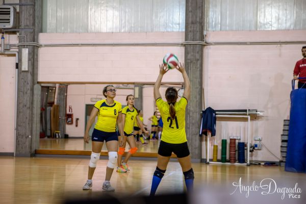 volley-52DC280580-251F-49E1-D2C9-95F1B865F79C.jpg