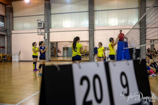 volley-53F071C9A1-9ADA-B365-783B-FF6EC19A3545.jpg