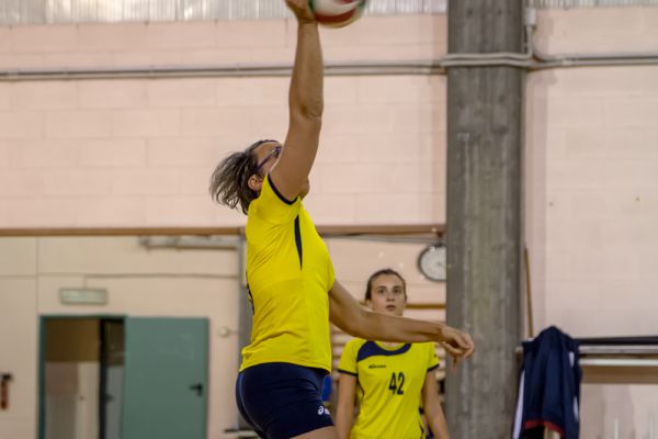 volley-54A081B9A5-C0FA-EE25-AD56-D82BBC8EDC78.jpg