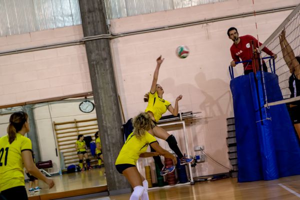 volley-59C33175CD-BB78-810C-3CCD-A59A8E1656CC.jpg