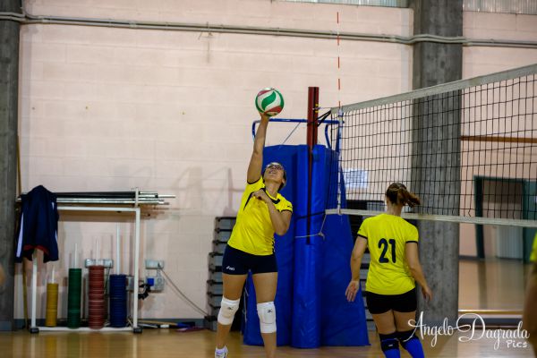 volley-5CFE11D9B-7B3F-E89C-786B-513E4D88B314.jpg