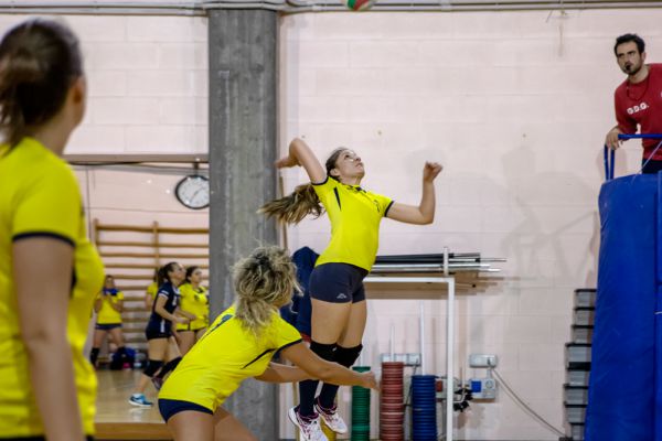 volley-6179DBCDC5-F870-EB0A-97DF-C6C7F2B5685D.jpg
