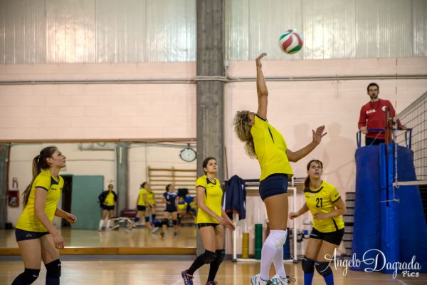 volley-65AF7922A6-8959-84D0-7803-4168D40DFC65.jpg