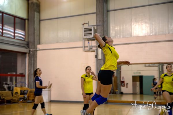 volley-7033CCDC98-E3EC-E6B7-FF41-4C61084FB301.jpg