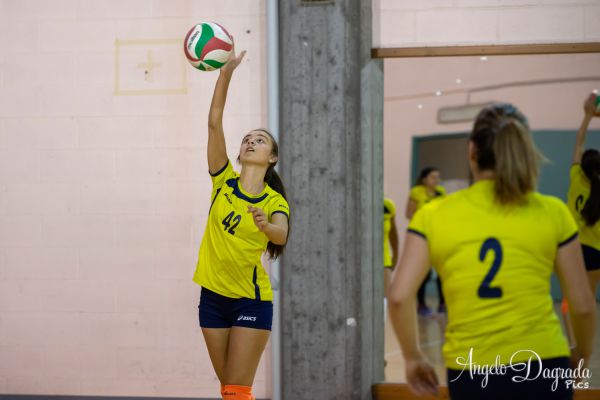 volley-988A570B4-7C9E-4D42-9E73-CF35B5586694.jpg