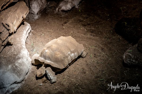 acquario19-16264117B2-8129-FE41-1381-297C1F29BBB9.jpg