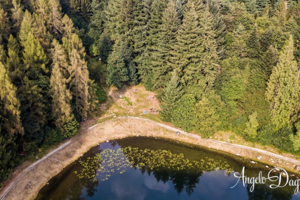 drone-0325282D97D-7C19-BAF5-B25C-DF8BDEE36CAE.jpg