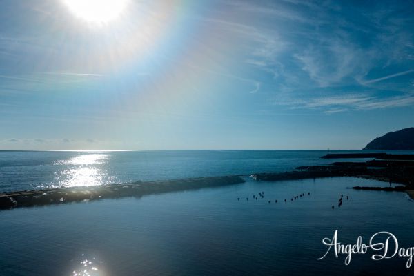 drone-0363E839B5F-A887-3F19-D4E1-3222E2B09030.jpg