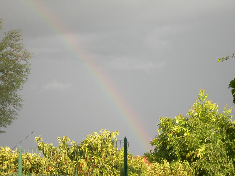 DSCN3980.JPG