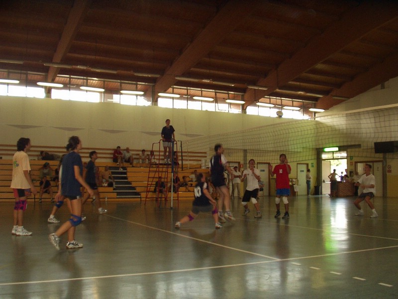 P7130041.JPG
