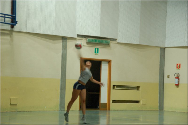 DSC_5330.JPG