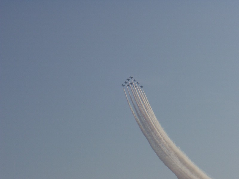 3P8080021.JPG