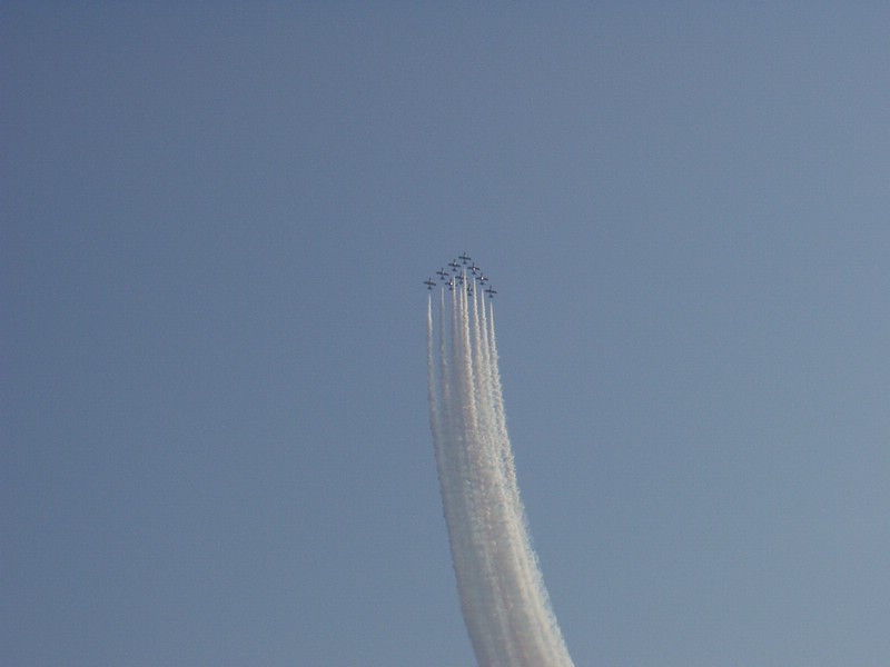 3P8080022.JPG
