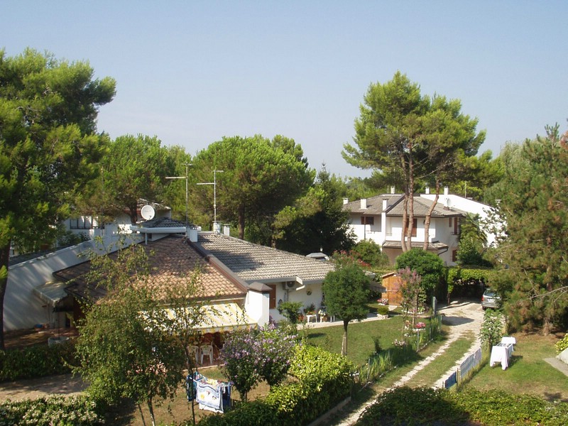 P8080024.JPG