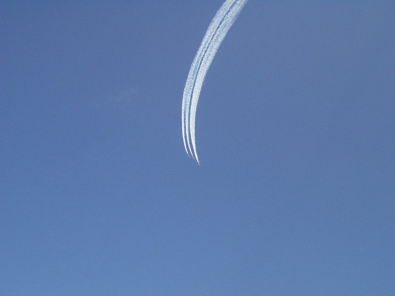 P8090086.JPG