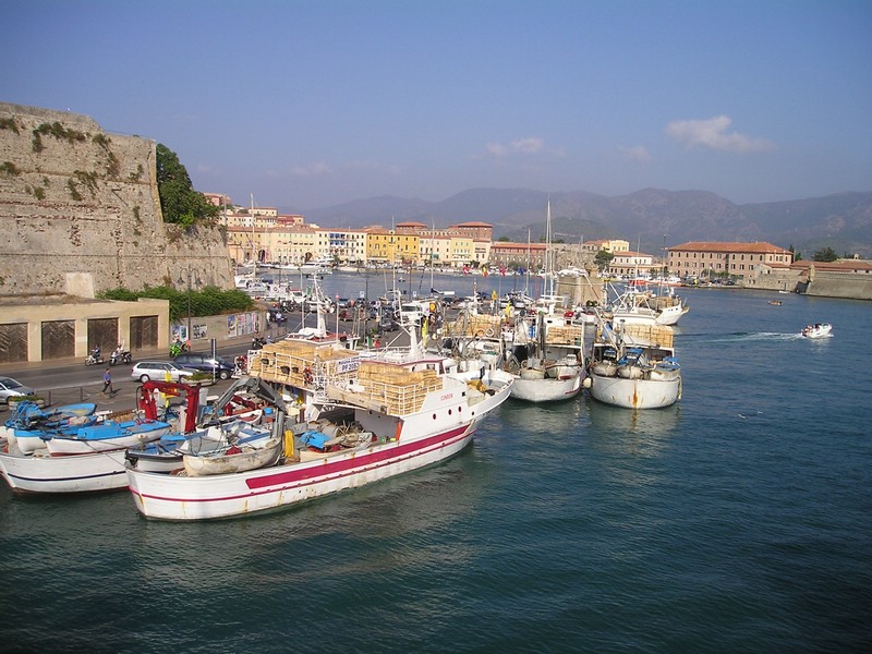 P1010005.JPG