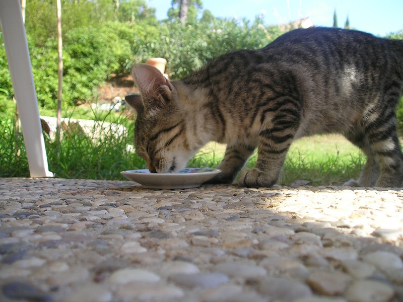 P1010034.JPG