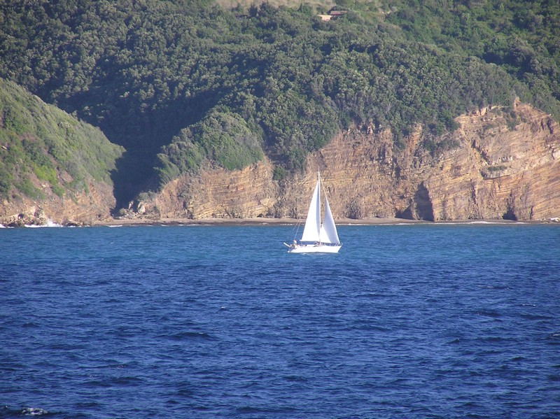 P1010036b.JPG