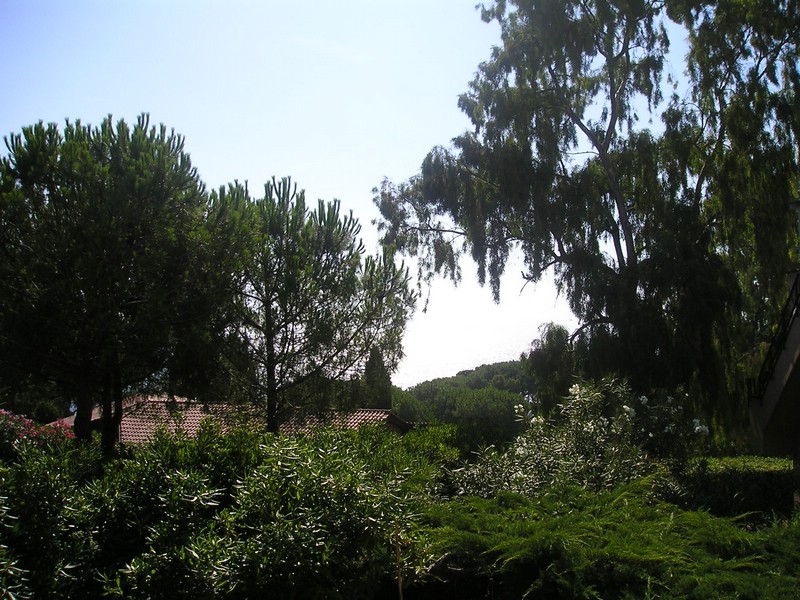 P1010037.JPG
